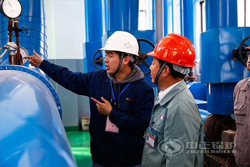 4噸工業(yè)沼氣燃氣鍋爐報價