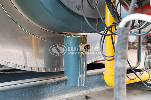 中正鍋爐工業(yè)沼氣燃?xì)忮仩t報價