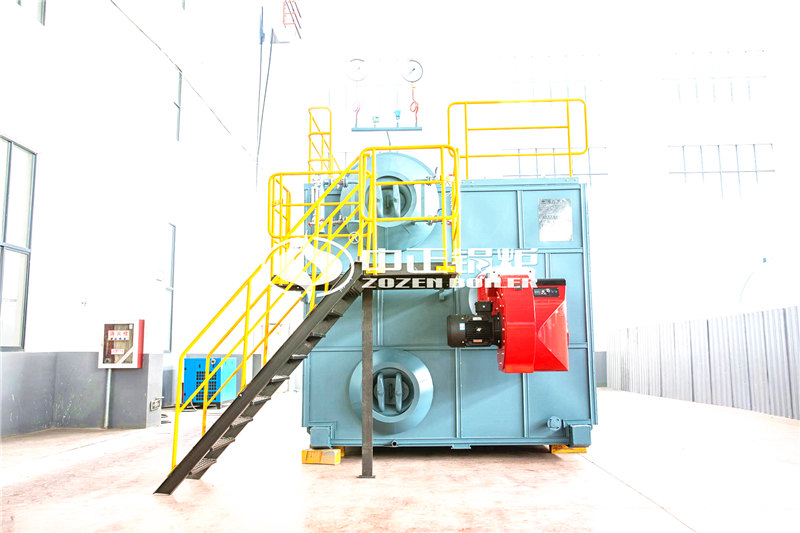 沼氣鍋爐生產(chǎn)廠家價格