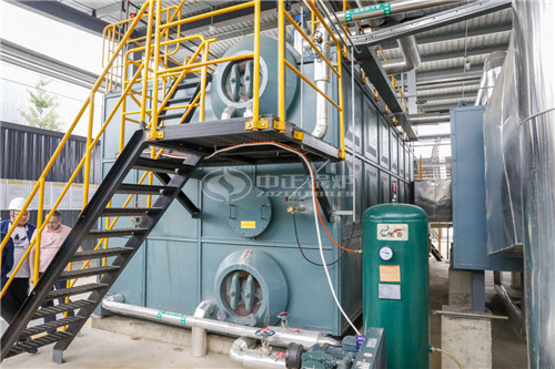 2噸沼氣鍋爐的重量大概是多少噸