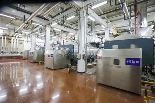 中正鍋爐4噸沼氣鍋爐怎么樣