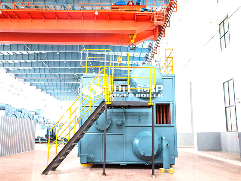 小型環(huán)保沼氣鍋爐哪家有