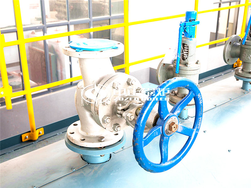 廣東哪家沼氣鍋爐的廠家好