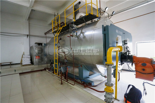 養(yǎng)殖場沼氣鍋爐哪家質(zhì)量比較靠譜