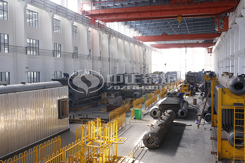 沼氣鍋爐工藝管道 生物質鍋爐哪家好