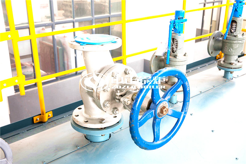 一臺5噸的沼氣蒸汽鍋爐報價