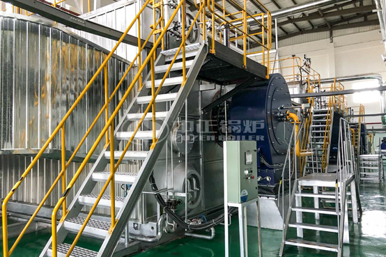 1噸WNS冷凝式沼氣鍋爐項目