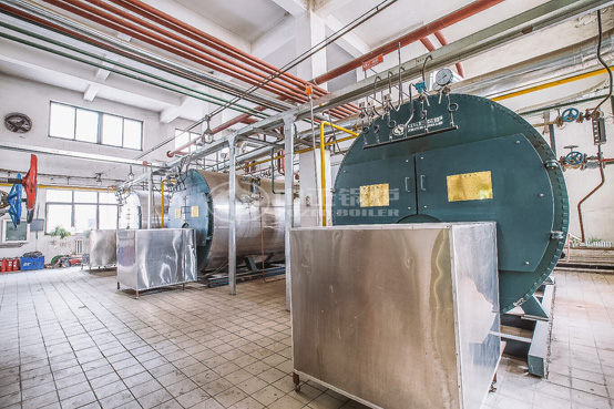 10噸WNS 系列冷凝式沼氣蒸汽鍋爐項(xiàng)目