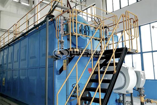 4噸WNS系列沼氣蒸汽鍋爐項目