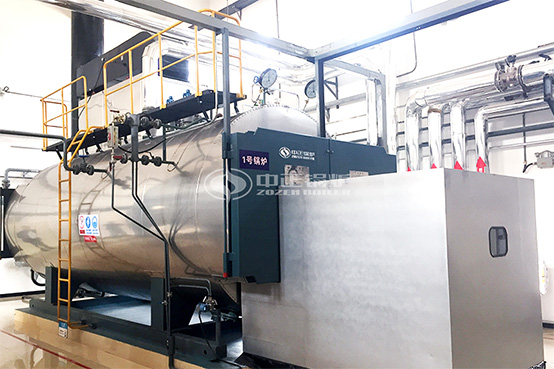 18噸SZS系列冷凝式沼氣蒸汽鍋爐項目