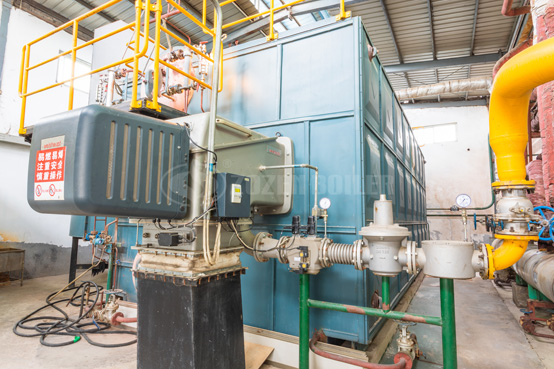 宏大紡織印染10噸WNS系列節(jié)能型沼氣蒸汽鍋爐具體參數(shù)