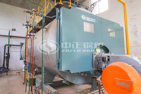 振華汽車涂裝6噸WNS系列高效節(jié)能沼氣蒸汽鍋爐項目