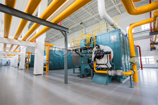 20噸SZS沼氣蒸汽鍋爐項目