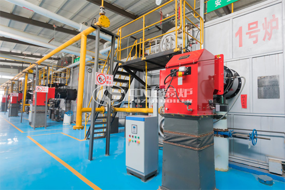 8噸WNS系列冷凝式沼氣鍋爐項目